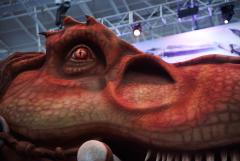 PAX Rex