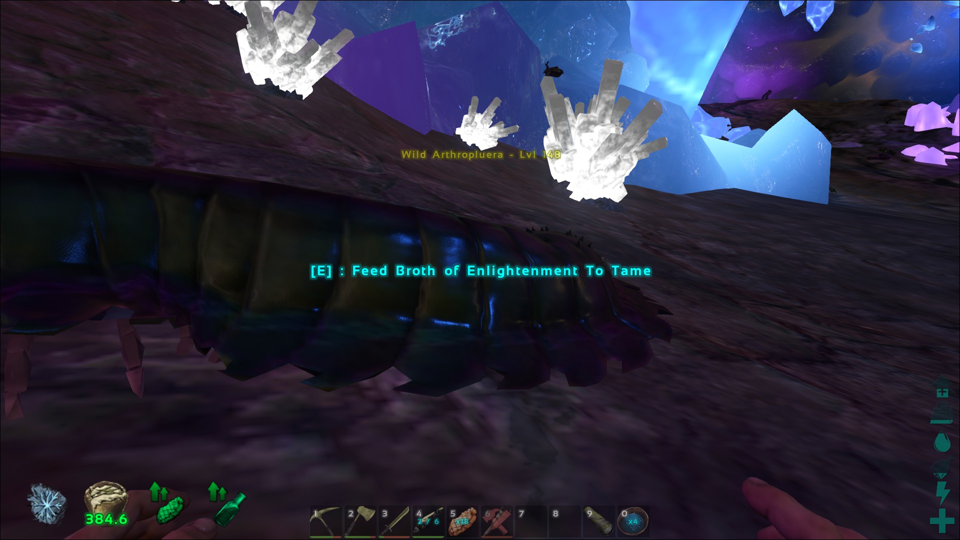 Arthropleura and Dung Beetle bug - General Discussion - ARK - Official  Community Forums