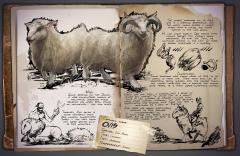 Dossier: Ovis