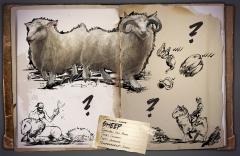 Dossier: Ovis