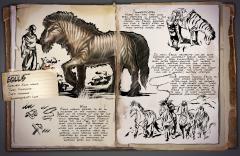 Dossier: Equus