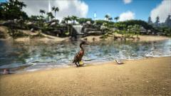 The Golden Egg, said to be a highly nutritious supplement for all dinos!