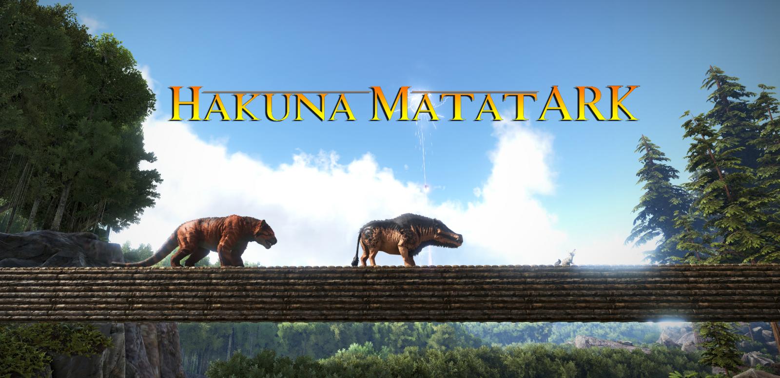 large.593b7ddf38d5e_Valoule-HakunaMatatARKsta.jpg