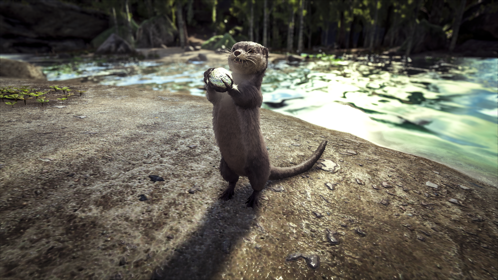 large.Otter_1.png.d3823bbd869062cf6a08f5