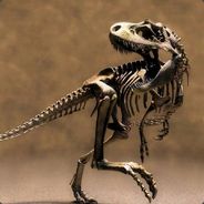 2CrazyGaming