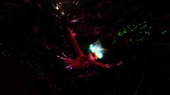 Pollti – Featherlight- super resolution.jpg