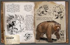 Direbear Dossier 2018