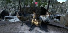 Direwolves gamma.jpg