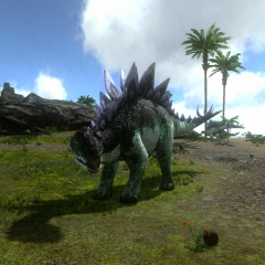 stego gamma cropped.png