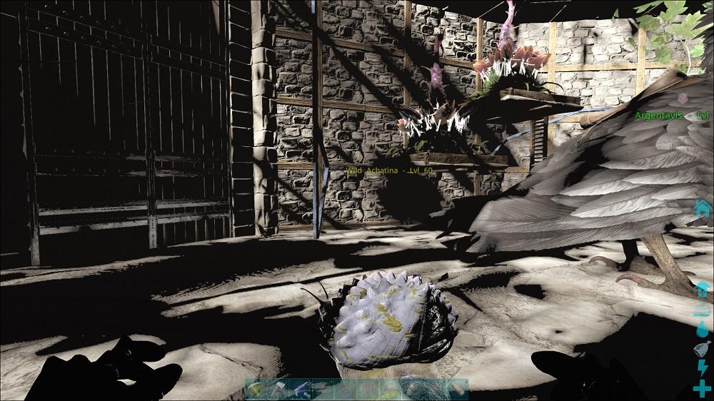 Plant X in base won't fire. - General Discussion - ARK - Official Community  Forums