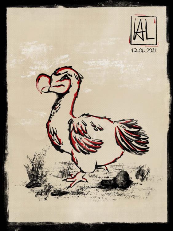 dodo.jpg