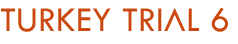 TT6.png