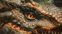 Eye of the Beast