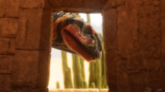 Peekaboo!
