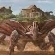 rexy2222