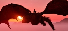 Sunset Flight
