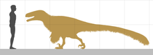 Achillobator giganticus the living net projectile - Creature submission ...