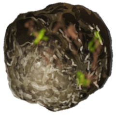 Mud Ball Concept.png