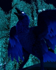 BlueBird.jpg