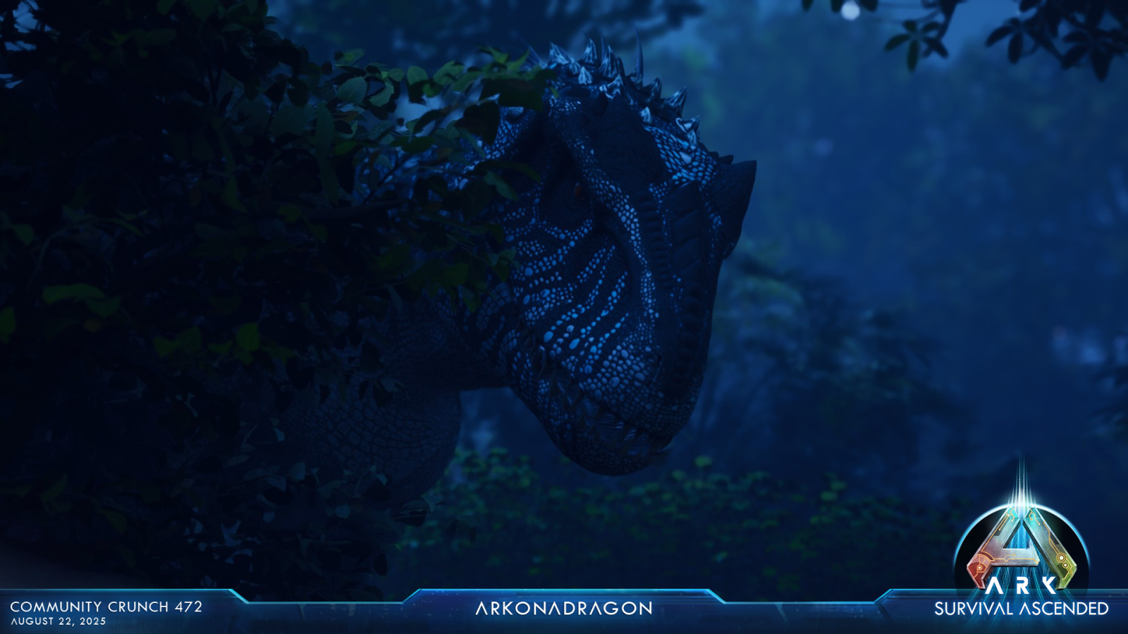 large.ASA_CommunityCrunch_472_ArkonaDrag