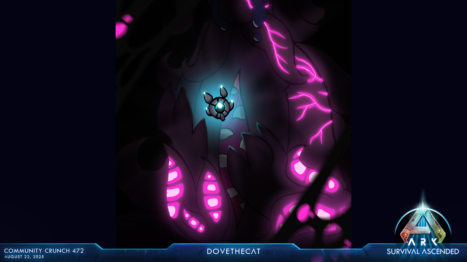 large.ASA_CommunityCrunch_472_dovethecat