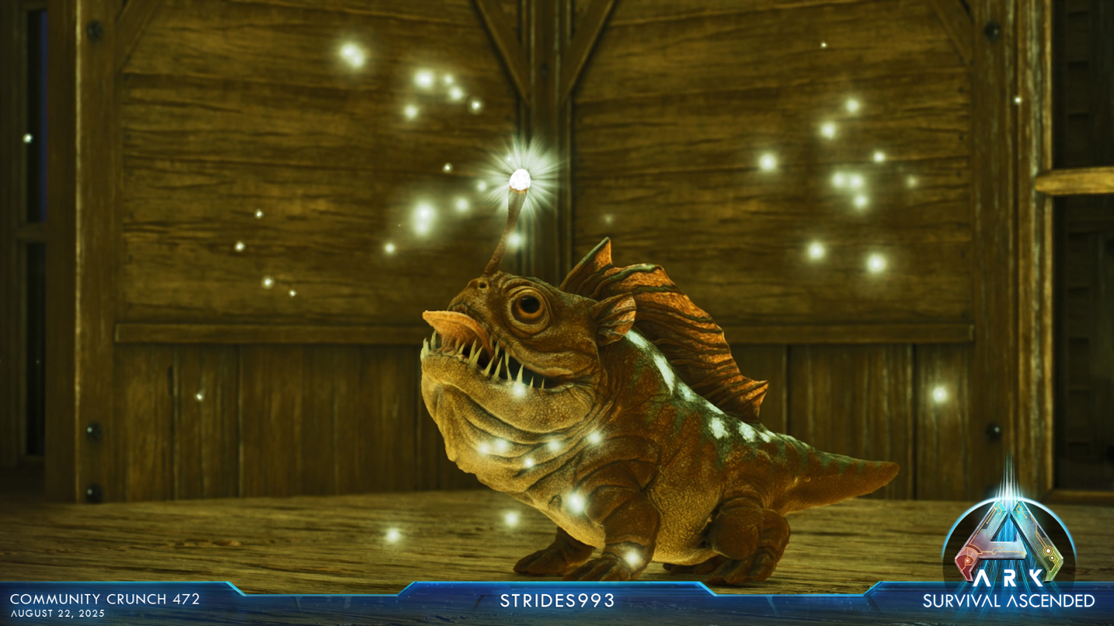 large.ASA_CommunityCrunch_472_strides993