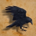 Corvus102323