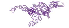 Untitled69_20251012125403.png