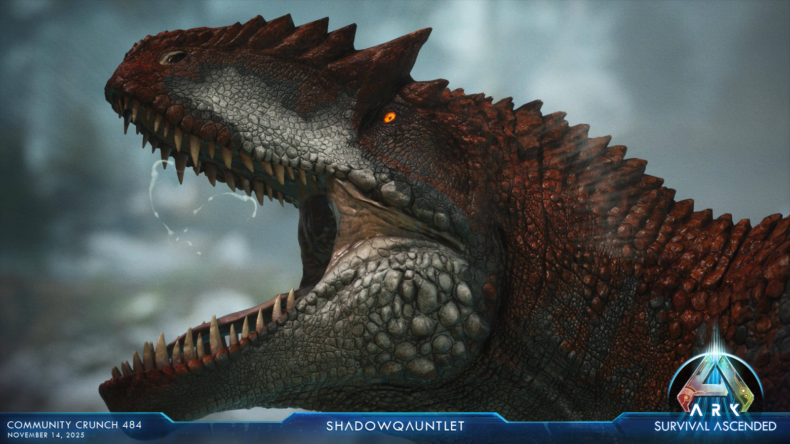 large.ASA_CommunityCrunch_484_shadowqaun