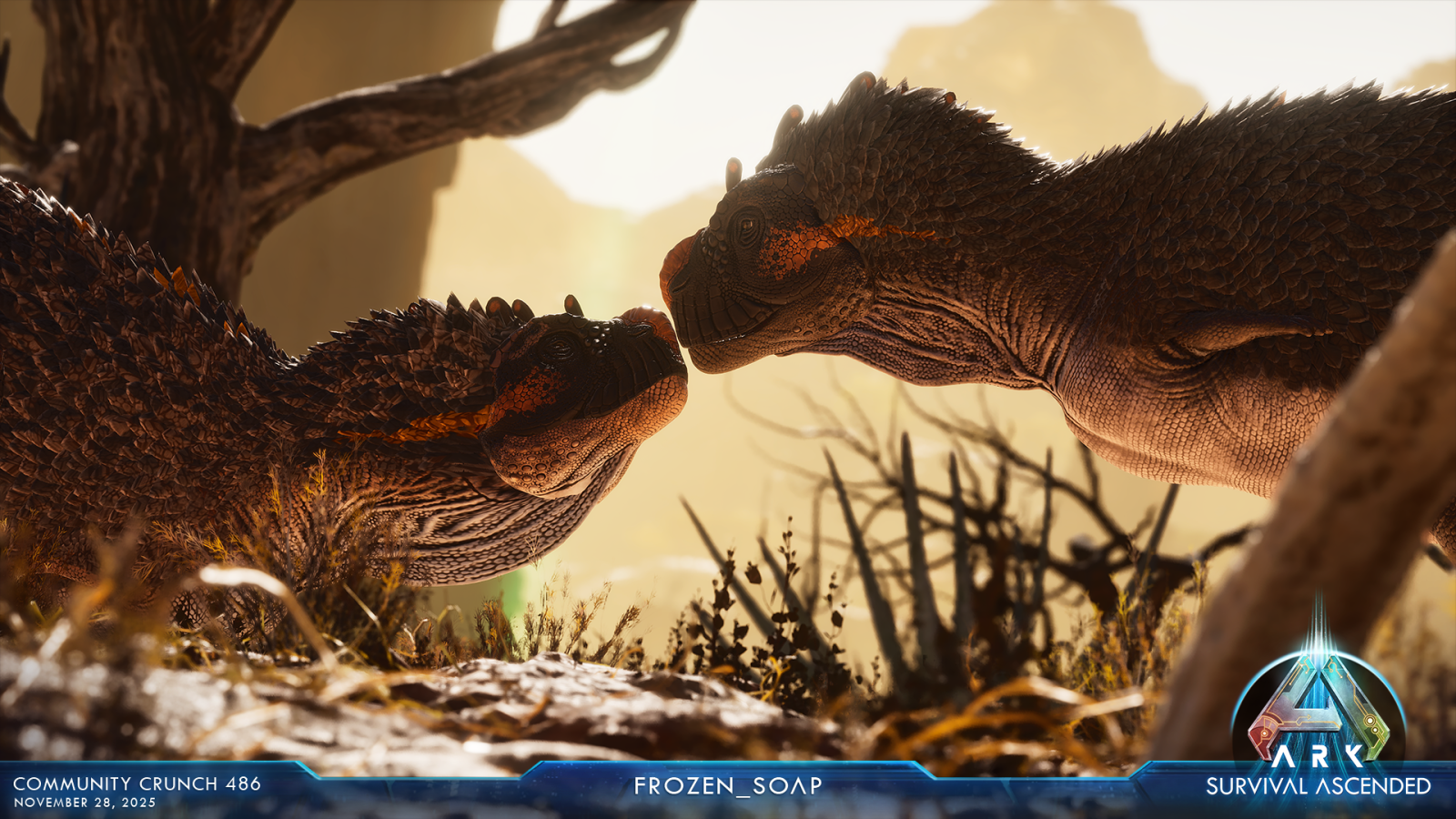 large.ASA_CommunityCrunch_486_frozen_soa