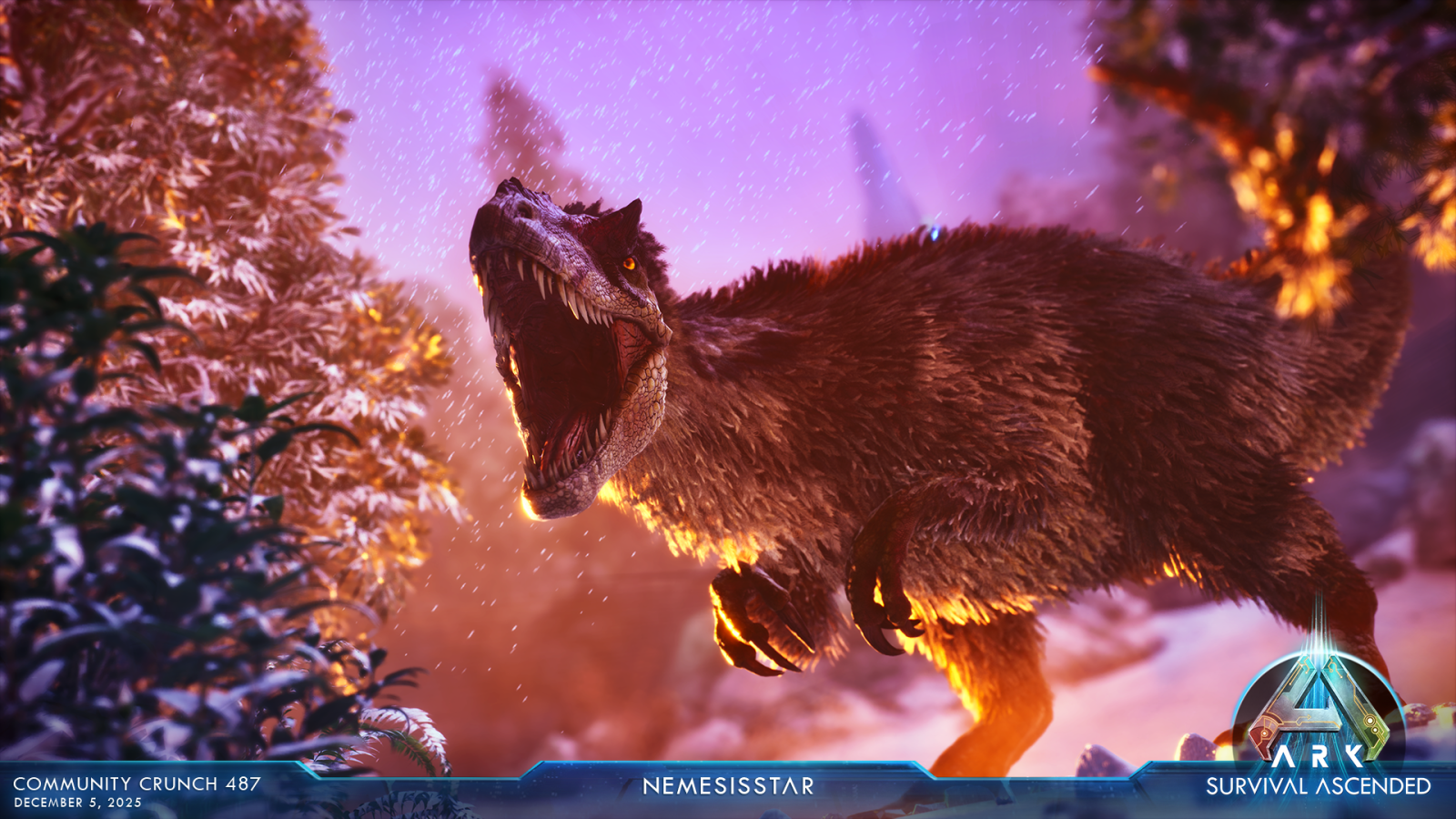 large.ASA_CommunityCrunch_487_nemesissta