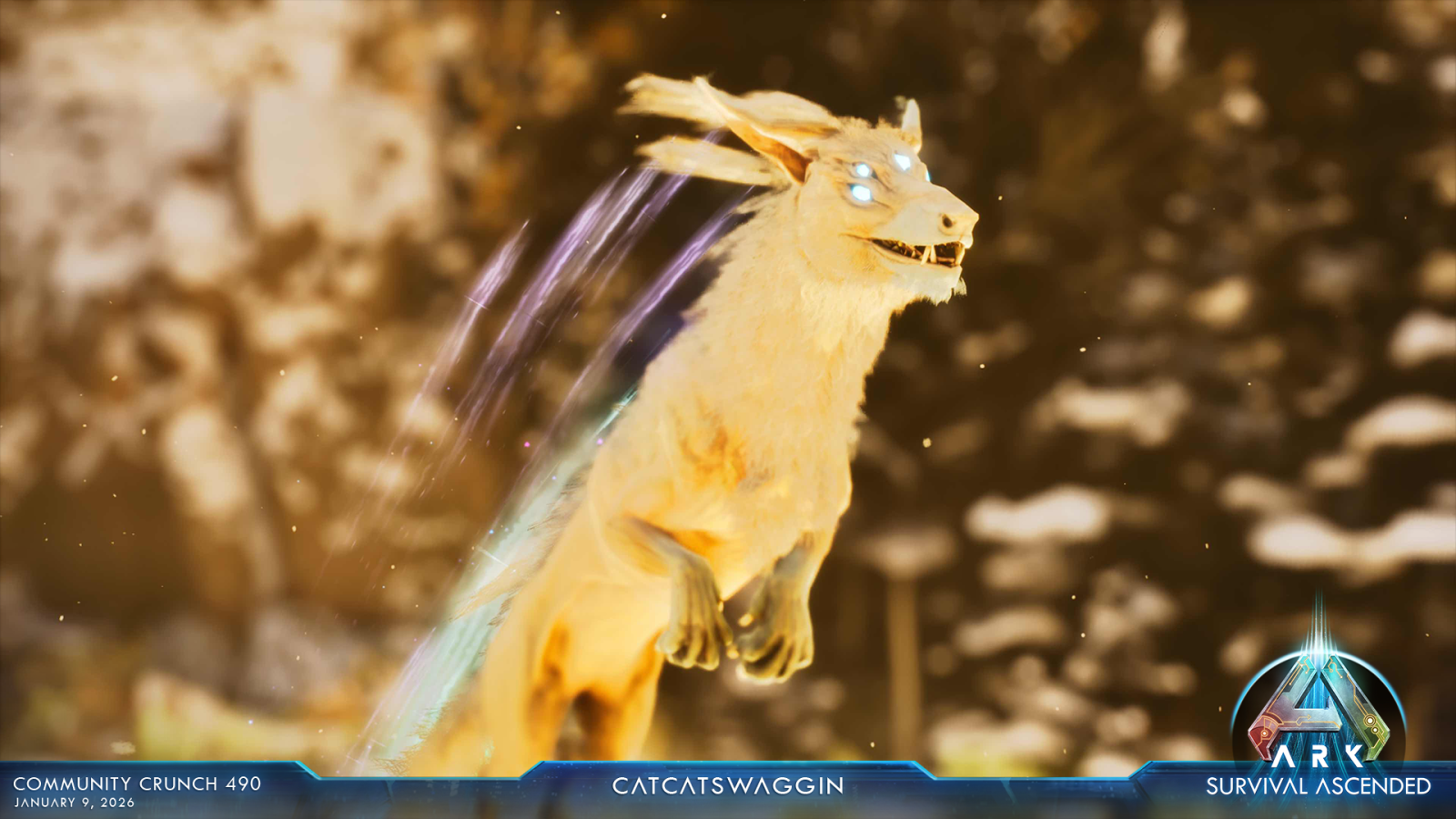 large.ASA_CommunityCrunch_490_catcatswag