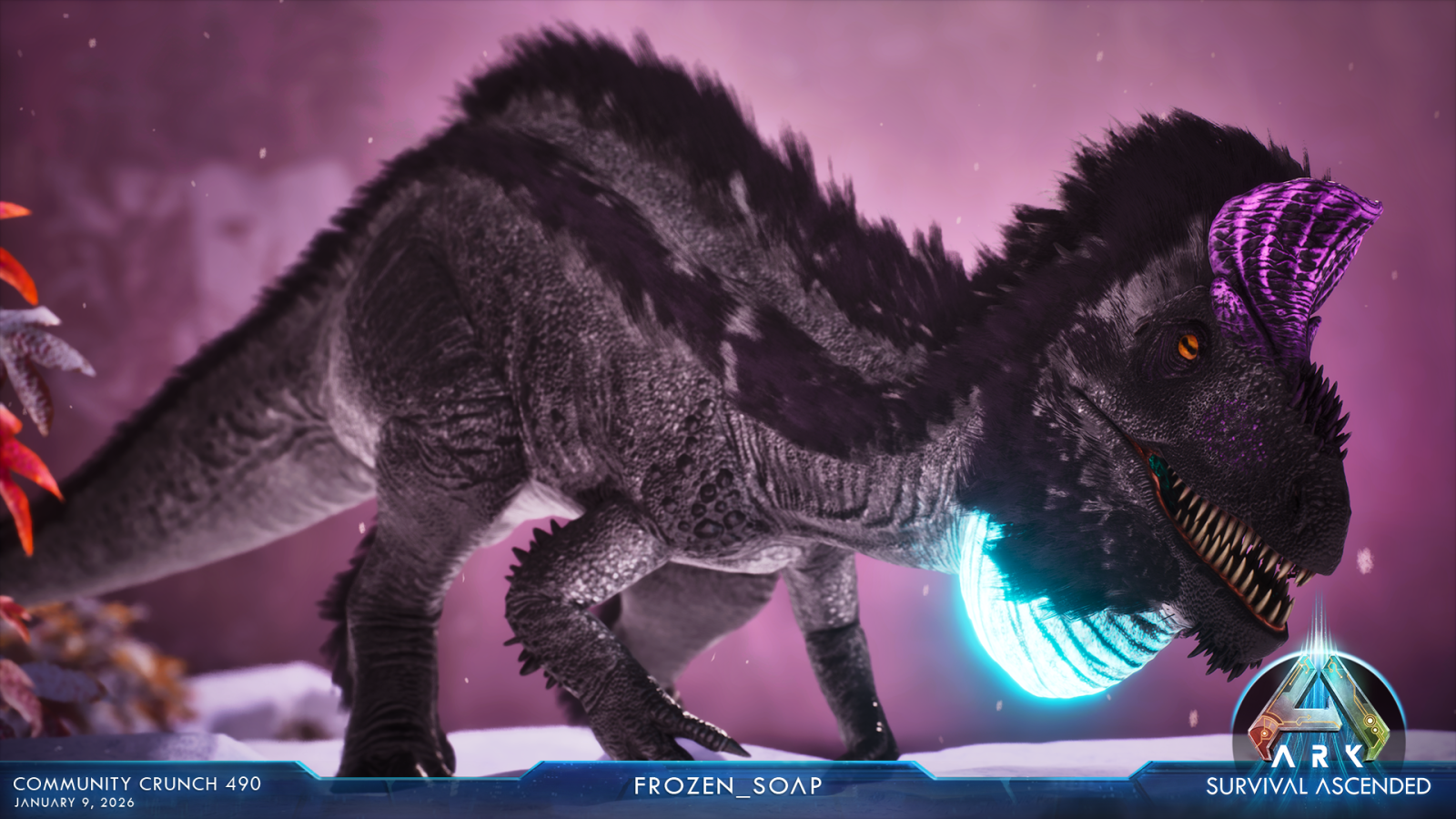 large.ASA_CommunityCrunch_490_frozen_soa