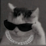 StzyEditz