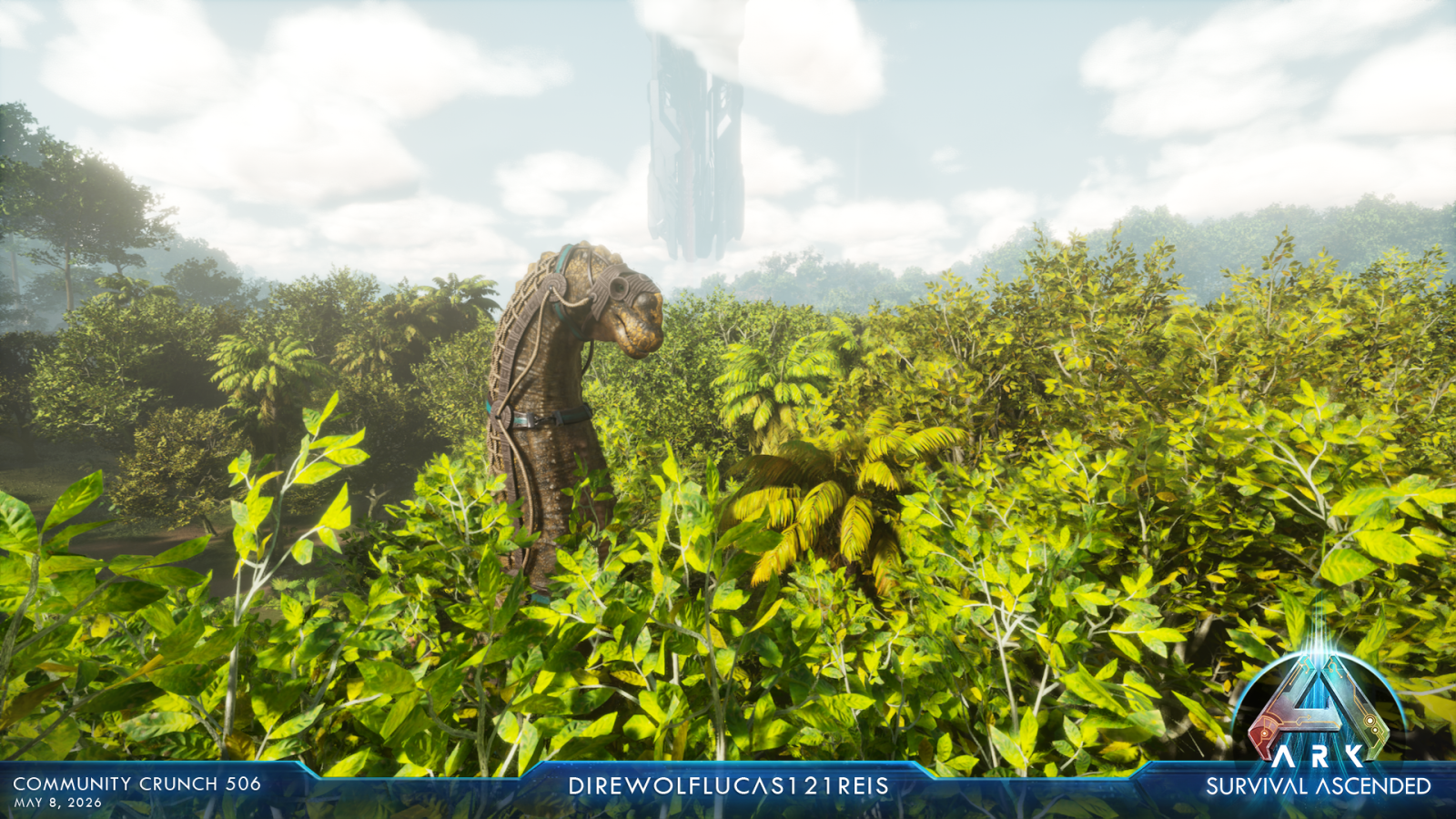 large.ASA_CommunityCrunch_506_direwolflu