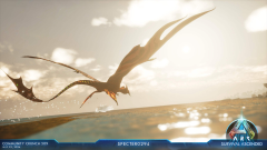 Photo Mode