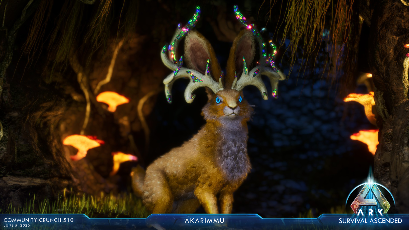 large.ASA_CommunityCrunch_510_akarimmu_1