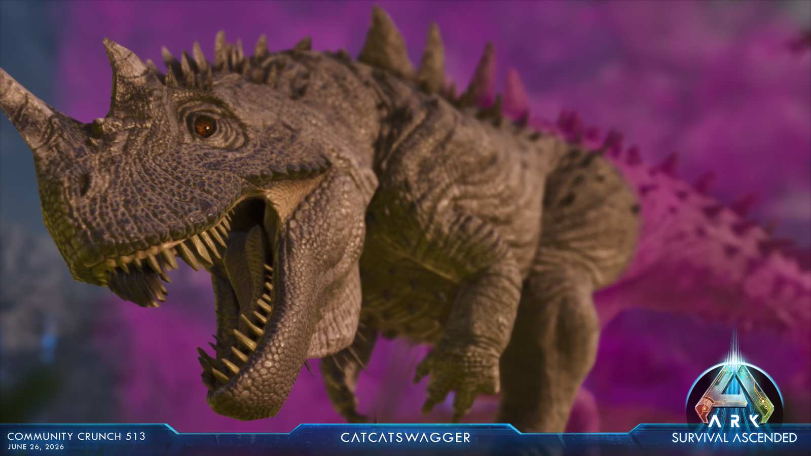 large.ASA_CommunityCrunch_513_catcatswag