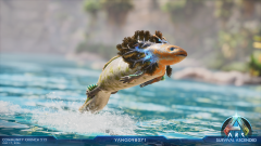 Photo Mode