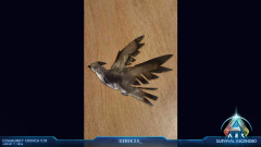 My brother is a metal worker and he made this for me because I love featherlight
