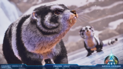 snow critters