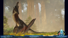 Photo Mode