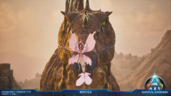 Photo Mode
